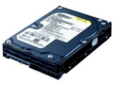 HD-H500FBS2/3G (500G SATAII300 7200) i摜