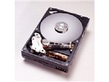 HDS722525VLAT80 (250G U100 7200) i摜