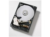 HDT722525DLA380 (250G SATAII 7200) i摜