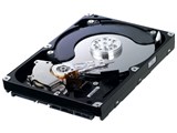 HD642JJ (640GB SATA300 7200) i摜