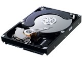 HD753LI (750GB SATA300 5400)