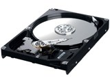 HD161HJ (160GB SATA300 7200) ���i�摜
