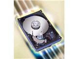 ST3120023A (120GB U100 7200) i摜