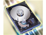 ST3200822A (200GB U100 7200) i摜
