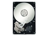 ST3250620NS (250G SATA300 7200) ���i�摜