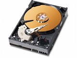 WD2500BB (250G U100 7200) i摜