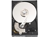 WD5000ABYS (500G SATA300 7200) i摜