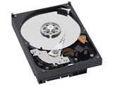 WD5000AACS (500G SATA300) i摜