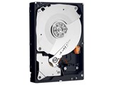 WD5001AALS (500GB SATA300 7200)