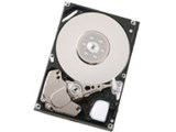 HUC101414CSS300 (147G 10000 SAS)