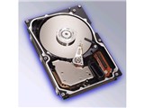 ST3146807LW (146.8G 10000 U320)