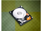 ST910021AS (100G 9.5mm)