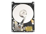 WD1600BEVE (160G 9.5mm)