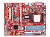 RD480 Neo2-FI