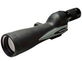 NEW �o�[�h�����h63