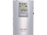VOICE BAR DMR-P1 i摜