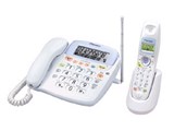 TF-EV130 i摜