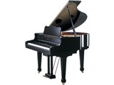 Roland Piano Digital RG-7 製品画像