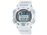 G-SHOCK FISHERMAN DW-8600KJ-8T