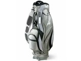 価格.com - ミズノ MIZUNO CARTBAG 307 Light 45CM-02410 価格比較