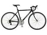 06 LGS-CCT