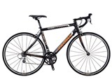08 LGS-RC30