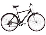05 Lgs-tr 3