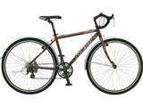 07 LGS-RAM
