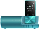 NW-S313K [4GB] i摜