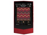 PLENUE V PV-64G [64GB]̐i摜