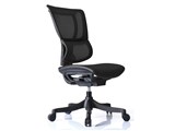 Ergohuman Smart EHS