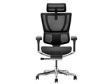 Ergohuman FIT2 FIT2-HAM-DR-BF