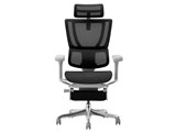 Ergohuman FIT2 Ottoman FIT2-LPL-DR-GF
