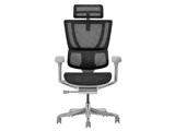 Ergohuman FIT2 FIT2-HAM-5D-DR-GF