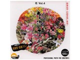 �n���f��100 ��Vol.4 ���i�摜