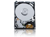 MK1655GSX (160GB 9.5mm) i摜