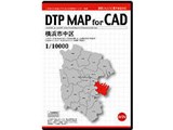 DTP MAP For CAD ���l�s���� 1/10000 CAD DMCYNK06
