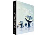 AMBIENT WORKS