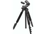 v 250 DX III