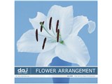�ʐ^�f�� DAJ digital images 030 FLOWER ARRANGEMENT [�t�����[�A�����W�����g]