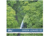 �ʐ^�f�� DAJ digital images 064 GREEN LEAVES 02 [�t���b�V���ȐV�΃C���[�W 02] ���i�摜