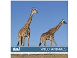 �ʐ^�f�� DAJ digital images 070 WILD ANIMAL [�쐶�̉����E�A�t���J] ���i�摜