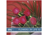 �ʐ^�f�� DAJ digital images 087 FLOWERS IN LIFE 02 [�t�����[�Y�C�����C�t 02] ���i�摜