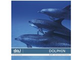 �ʐ^�f�� DAJ digital images 117 DOLPHIN [�C���J] ���i�摜