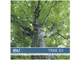 �ʐ^�f�� DAJ digital images 136 TREE 03 [���ؕS�I 03] ���i�摜
