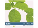�ʐ^�f�� DAJ digital images 138 LEAVES 02 [�t�S�I 02] ���i�摜