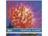 �ʐ^�f�� DAJ digital images 151 TROPICAL FLOWER [�g���s�J�� �t�����[] ���i�摜