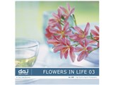 �ʐ^�f�� DAJ digital images 189 FLOWERS IN LIFE 03 [�t�����[�Y�C�����C�t 03] ���i�摜