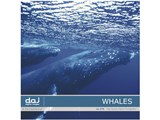 �ʐ^�f�� DAJ digital images 278 WHALES [�N�W��] ���i�摜