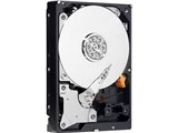 WD5000AADS (500GB SATA300) i摜
